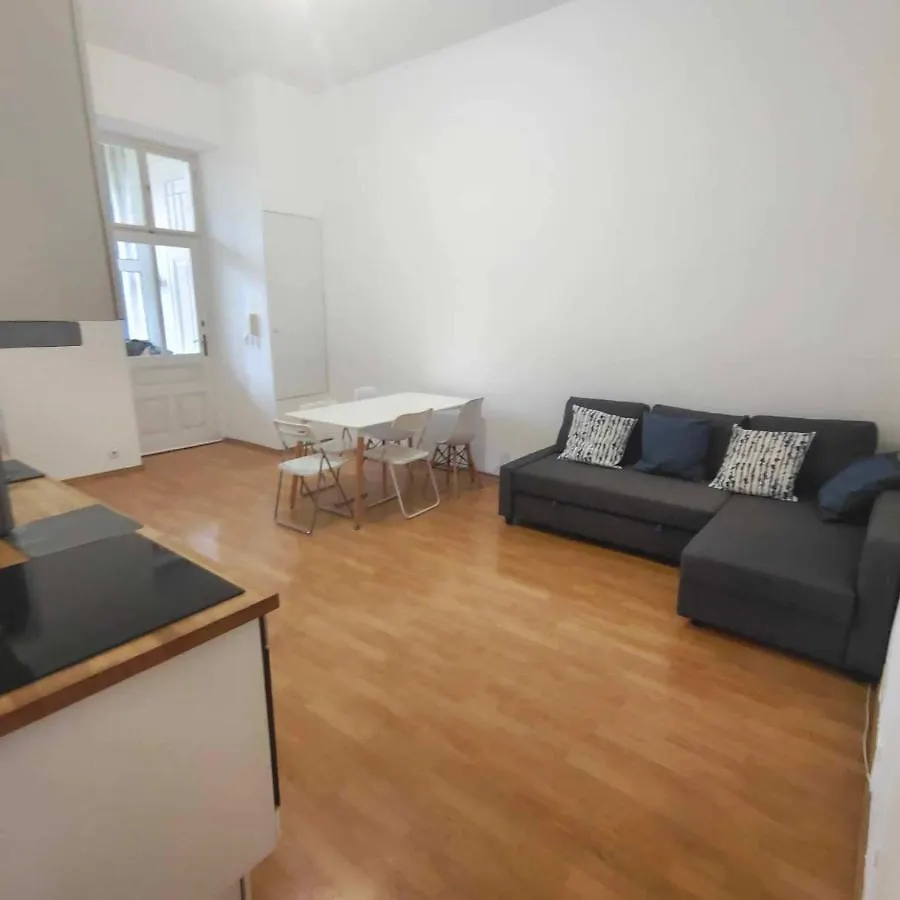Large 4 Room Apartment In The Center Of Wien